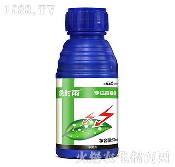 霜霉病專用殺菌劑-急時(shí)雨-中海潤禾