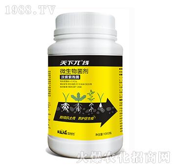 ΢�������-����أ��-�к�����