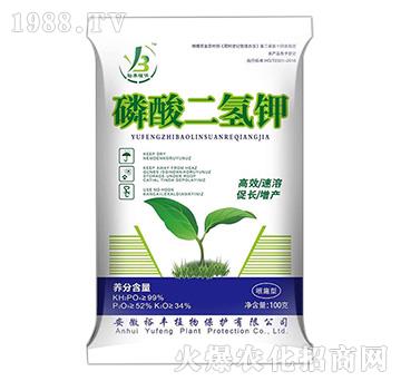 ��������-ԣ�Sֲ��