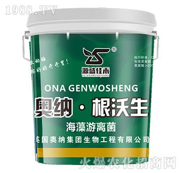 �W�{��������-�������x��-�W�{�r(n��ng)�I(y��)