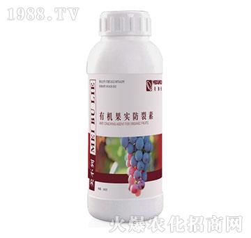 �ЙC(j��)����(sh��)������-������-��٤�z