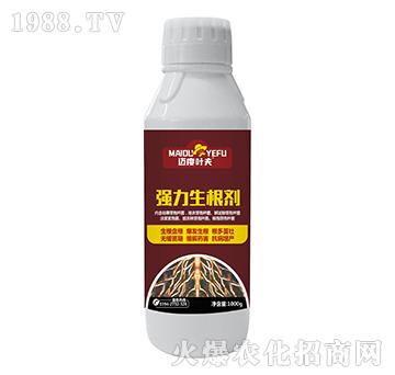 強力生根劑-邁度葉夫