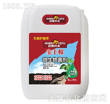生根護(hù)根型微生物菌劑-寶豐根-邁度葉夫