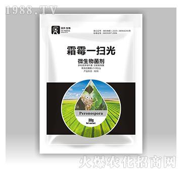 ΢�������-˪ùһ�߹�-��������