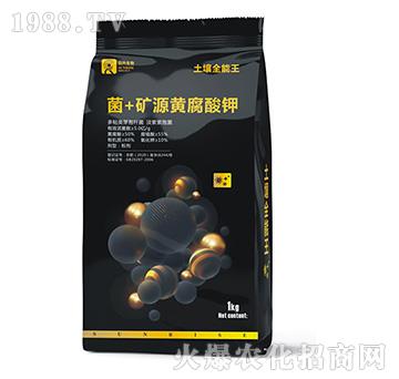 ��+�VԴ�S�����-����ȫ����-��������