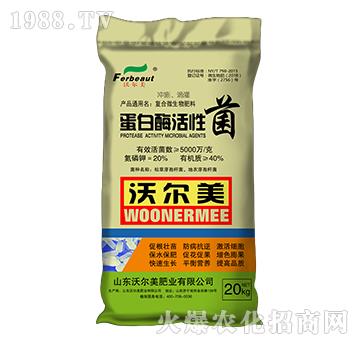 ����ø���Ծ�-�֠���