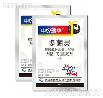 50%����`-���A����