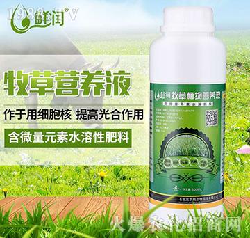 牧草營養(yǎng)液-農(nóng)悅生物