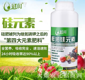 鮮潤(rùn)硅元素沖施肥-農(nóng)悅生物