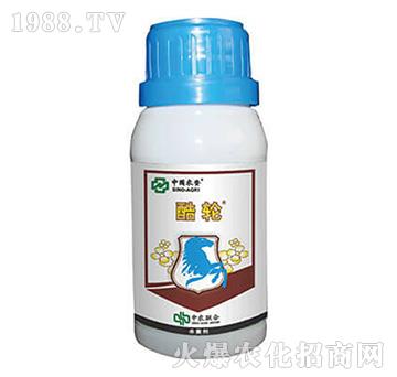 25%���r��-��݆-���r(n��ng)(li��n)��