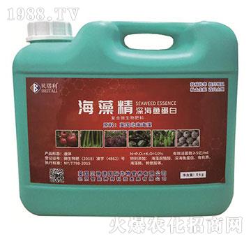 海藻精深海魚蛋白-貝塔利