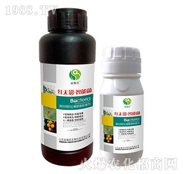 高效預(yù)防紅蜘蛛智能菌劑-紅無影·智能菌-益植優(yōu)