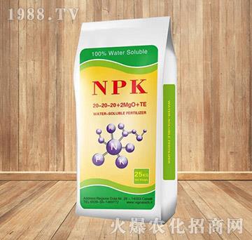 25kg����Ԫ��ˮ�ܷ���20-20-20+2MgO+TE-���K�r(n��ng)�Y