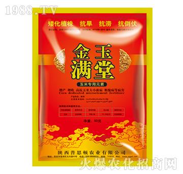 ���׌���Ԫ��-����M��-��˼�D�r(n��ng)�I(y��)