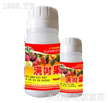 滿(mǎn)樹(shù)果-杰翔生物