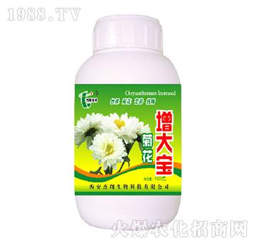 �ջ�����-��������