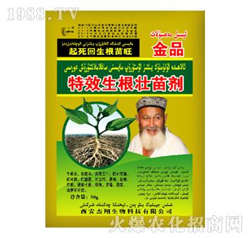 �������焩-��������