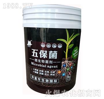 ΢�������-�屣��-�_��ţ