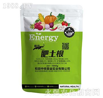 肥土根-冀收-萬代富田