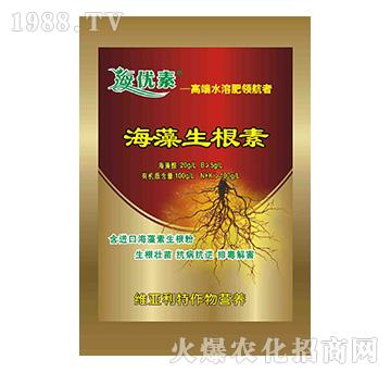 海藻生根素-維亞利特