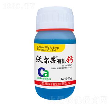 �ЙC(j��)�}-�֠���-�ּ��S�ʘI(y��)