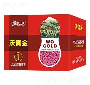 �ı錚-���S��-ԥ����