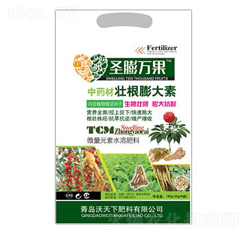 ��ˎ�ĉѸ������-ʥ���f(w��n)��-������