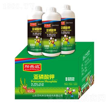 亞磷酸鉀0-525-270+TE-加樂(lè)收-百利來(lái)