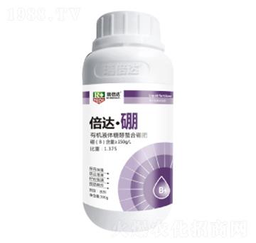 300g���_����-��