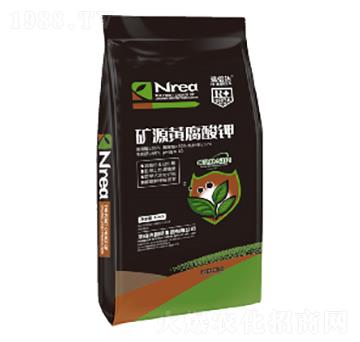 10kg�VԴ�S�����-