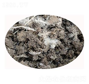 石家莊雞糞有機肥-必豐生物