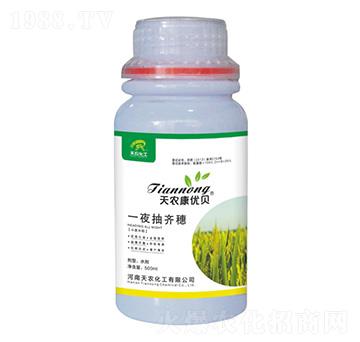 一夜抽齊穗-天農康優(yōu)貝-天農化工