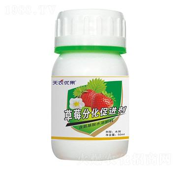 草莓分化促進劑-天農優(yōu)果-天農化工