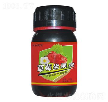 草莓座果靈-天農優(yōu)果-天農化工