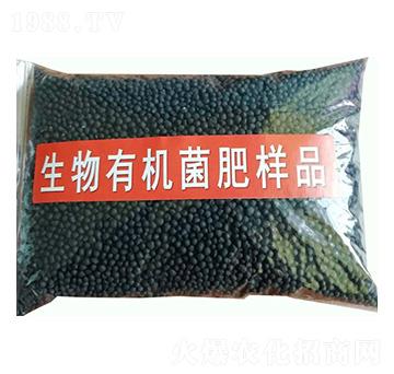 �ЙC�ЙC���ʘ�Ʒ-���|�ʘI(y��)