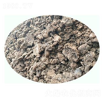 ���i�S-���|�ʘI(y��)