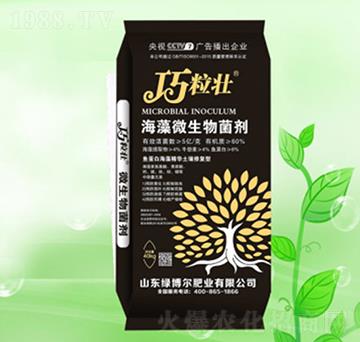 海藻微生物菌劑-巧粒壯-綠博爾肥業(yè)