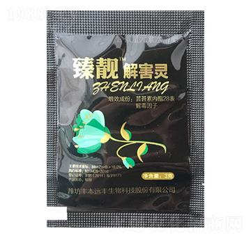 ���n�⺦�`-�����r�I(y��)