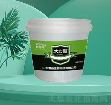 ������-�㶦����