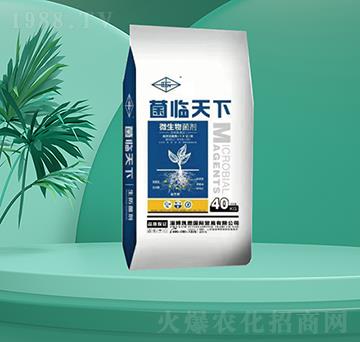 ΢�������-���R����-�㶦����