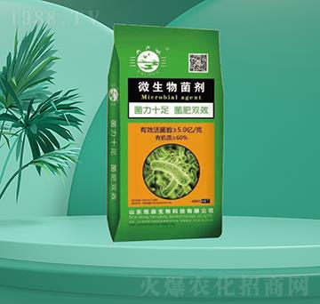 40kg΢�������-�㶦����