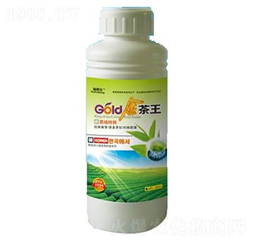 �����-��������