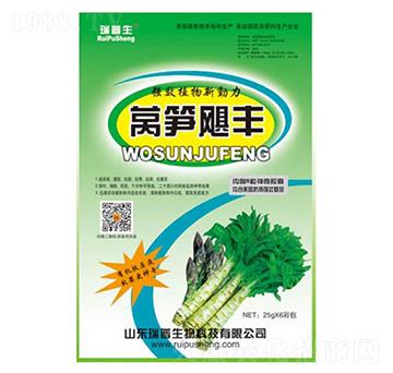 �n�S�Z�S-��������