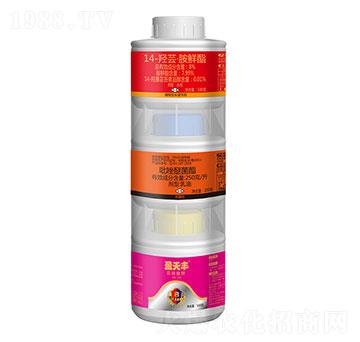 �������+�����Ѿ���+14-�u�|���r��-ӯ���S-ӯ�x