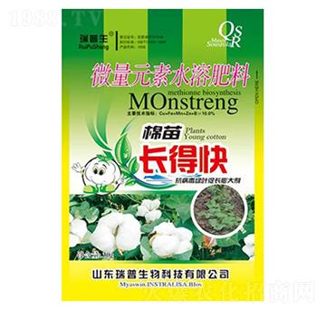 �����L(zh��ng)�ÿ�-��������