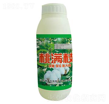 �ҝM֦-��������