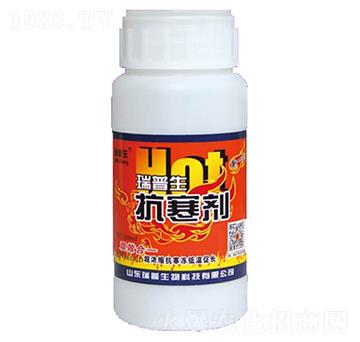 ������-��������