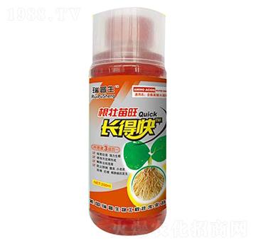 ���������L(zh��ng)�ÿ�-��������