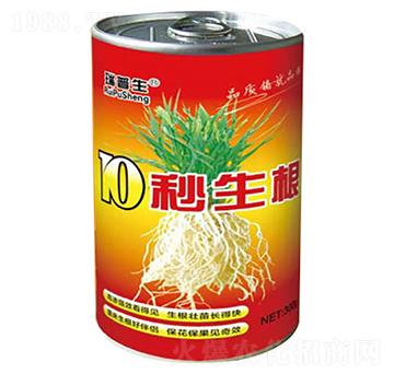 10������-��������