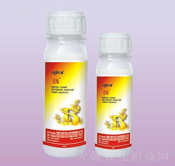 ��v���x��-��������